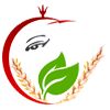 Shree Ganesh Agro Food Industries