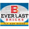 Everlast Bricks