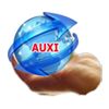 Auxi International Exim Logo
