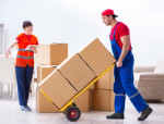 Dosti Packers and Movers Logo