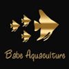Babe Aquaculture