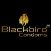 Black Bird India Logo