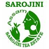 Sarojini Tea Co. Pvt. Ltd. Logo