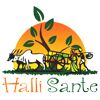 Halli Sante Logo