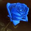 blue rose worldwide Logo