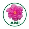 Annai Mirra International Logo