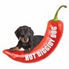 Hot Diggidy Dog Ltd.