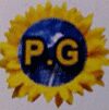 PG SOLAR POWER