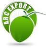 Arc Export Logo