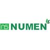 Numen India Solutions Pvt. ltd. Logo