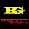 Bengal Gases (ISO 9001:2015 Certified) Logo