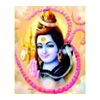 Shiv Om Tour And Travels