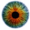 Artificial Eyes Logo