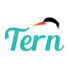 Tern International Logo