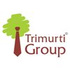 Trimurti Group & Project Support Consultants