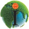 MS. Green Earth International