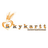 Sky Kartt International
