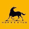 HORSESTUD Logo