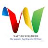 Wafture Worldwide Pvt. Ltd. Logo