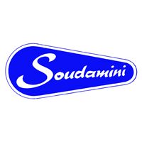 Saudamini Instruments Logo