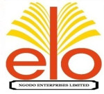 E.l.o Ngodo Enterprises Limited Logo