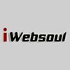 Intrepid Websoul Private Limited
