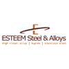 Esteem Steel & Alloys Logo