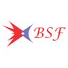 Bsf Frp Industries Logo