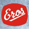 Eros Metal Works (P) Ltd. Logo