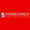 Syntegotech Web Solution