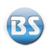 BS Exports Logo
