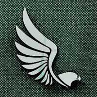 hawk wings corporation pvt ltd Logo