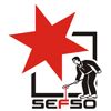 SEFSO Logo