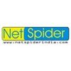 Netspider Infotech India Limited Logo