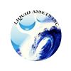 Liquid Assets Inc.