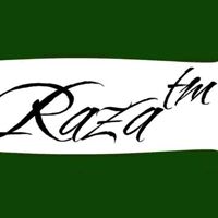 Raza Building Stones Logo