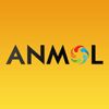 Anmol India Ltd