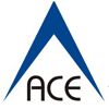 ACE Valuation Services LLP Logo