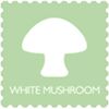 White Mushrooms Holidays Pvt Ltd
