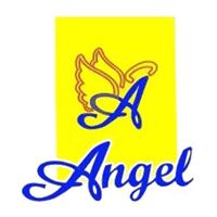 Angel Saree Logo
