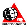 I Q INTERNATIONAL Logo