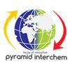 Pyramid Interchem Logo