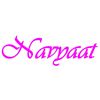 Navyaat Expobiz Pvt Ltd Logo