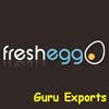 Guru Exports Logo