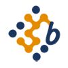 BenErg Software Solutions Logo