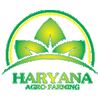 Haryana Agro Farming