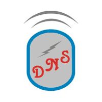 D N SYSTEMS Logo