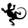 Chameleon Accessories Logo