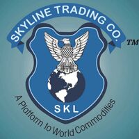 Skyline Trading Company-India Logo