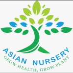 Asian Nursery